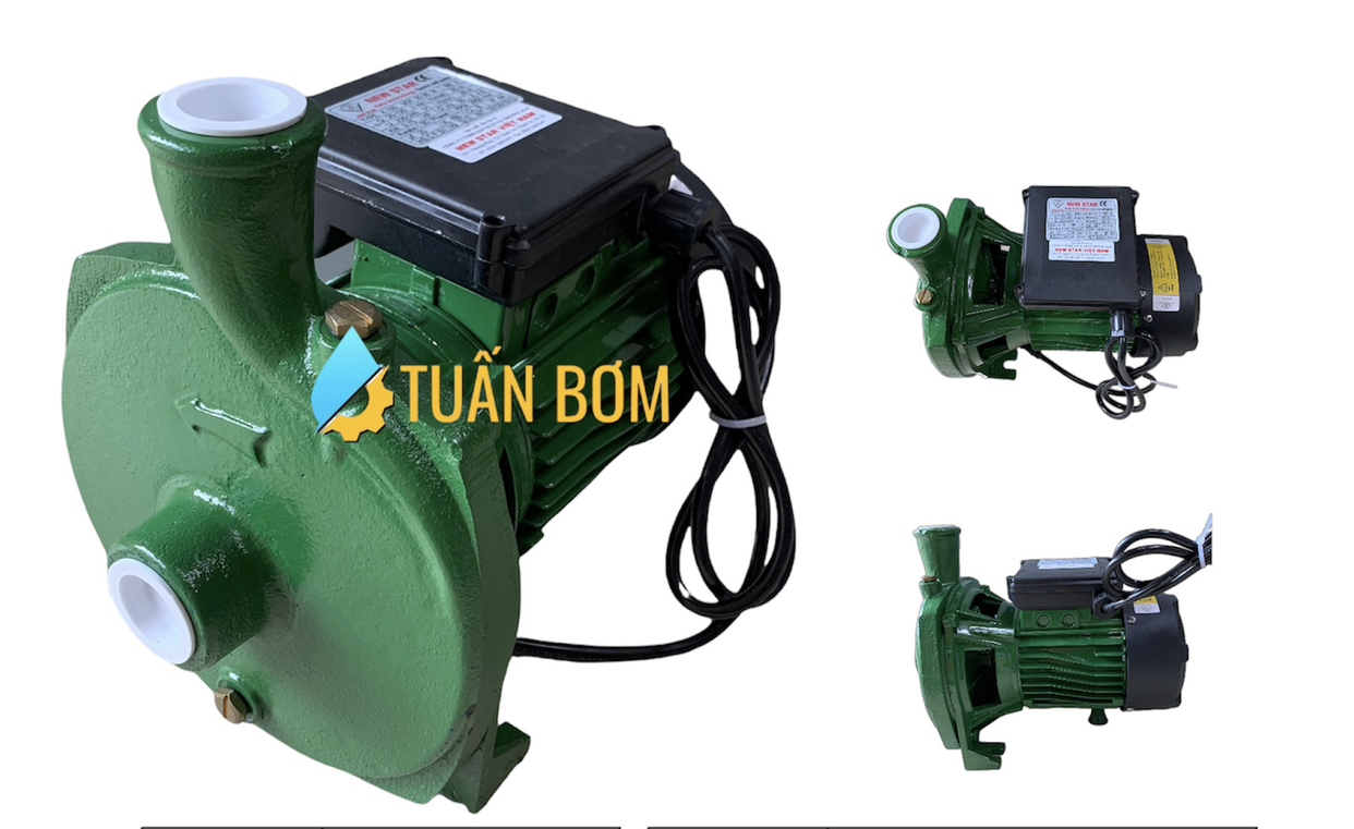 MÁY BƠM CÁNH ĐĨA NEWSTAR K-100M (750W)