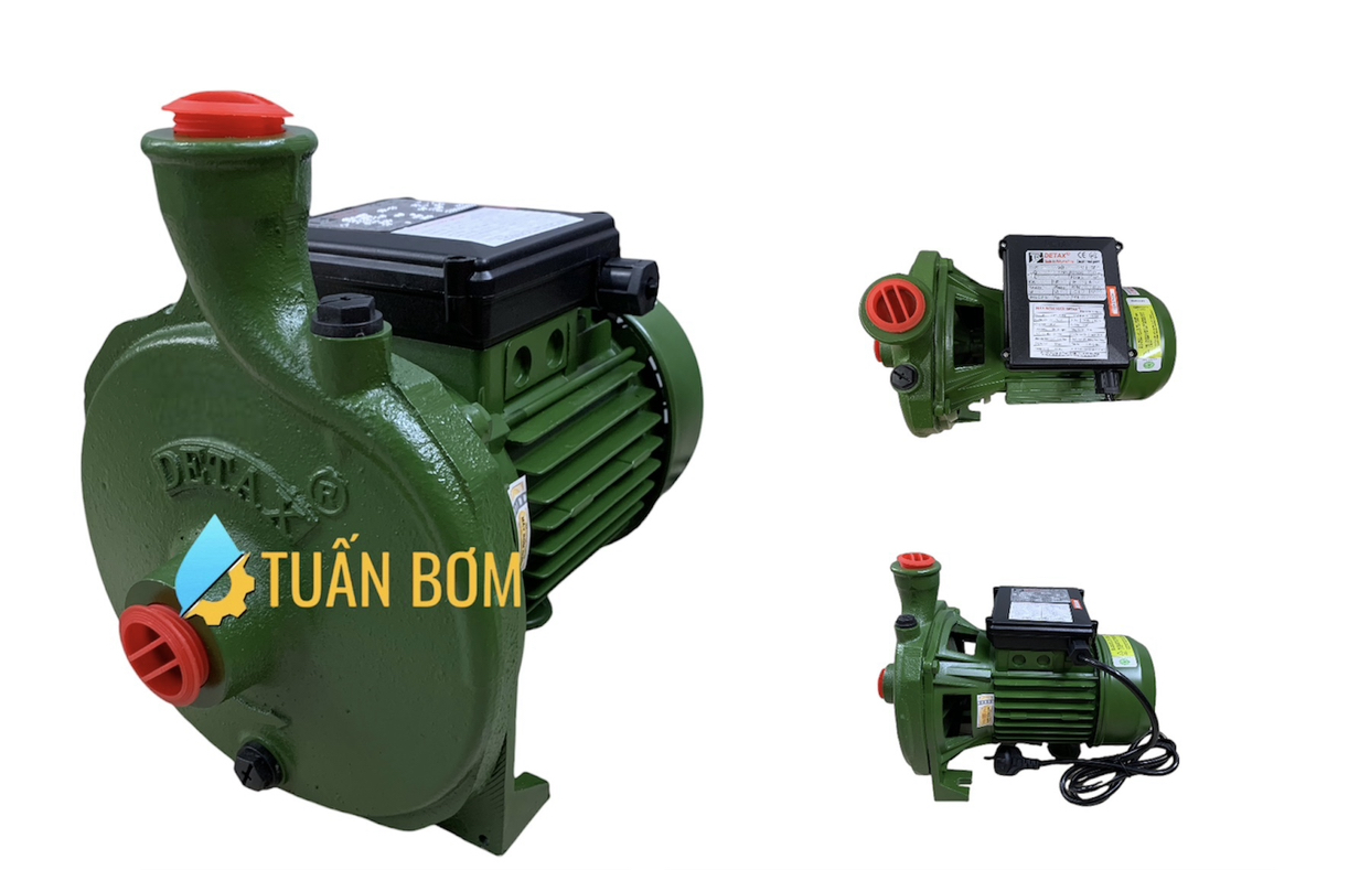 MÁY BƠM CÁNH ĐĨA  DETAX CMA 100 (750W)