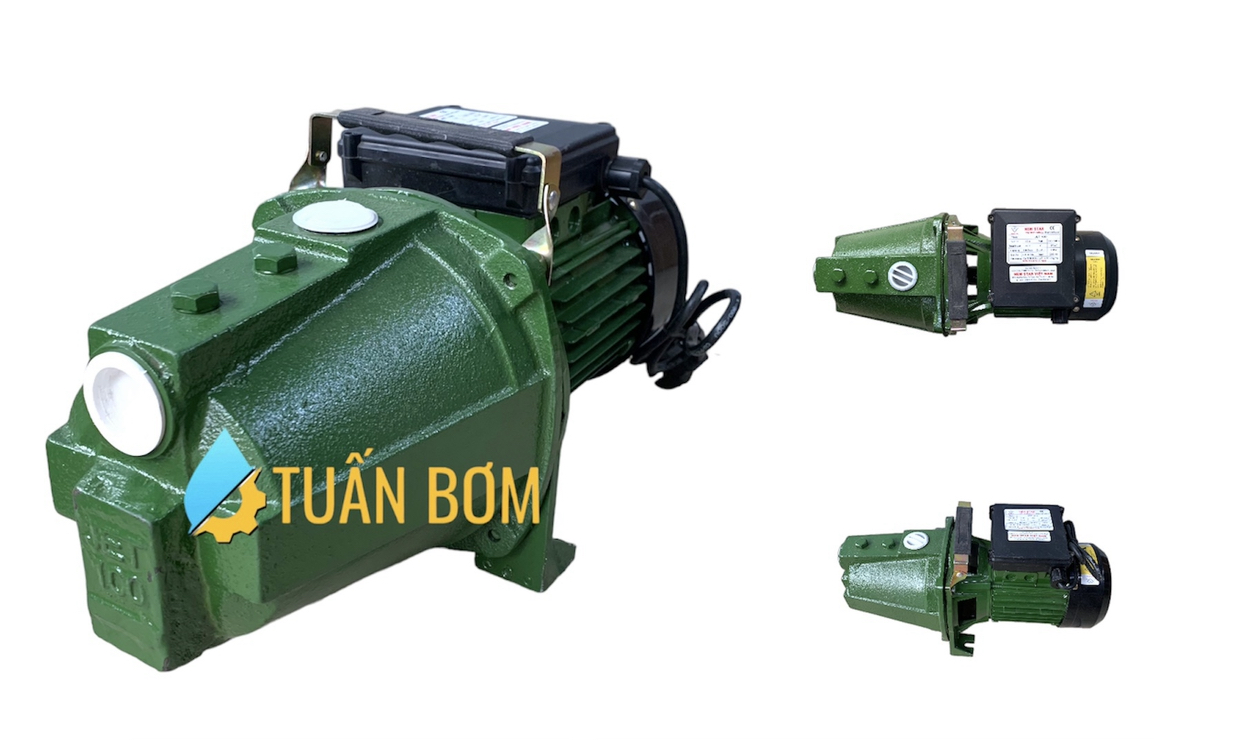 MÁY BƠM CON LỢN JET-100 (750W)