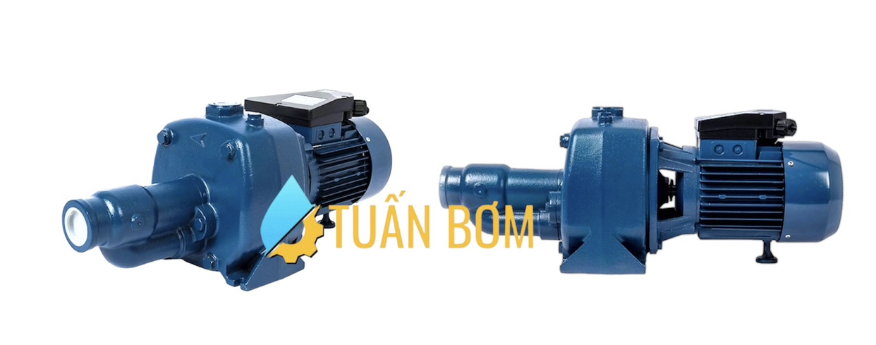 MÁY BƠM HỌNG SÚNG CAB-300 (2.2KW)