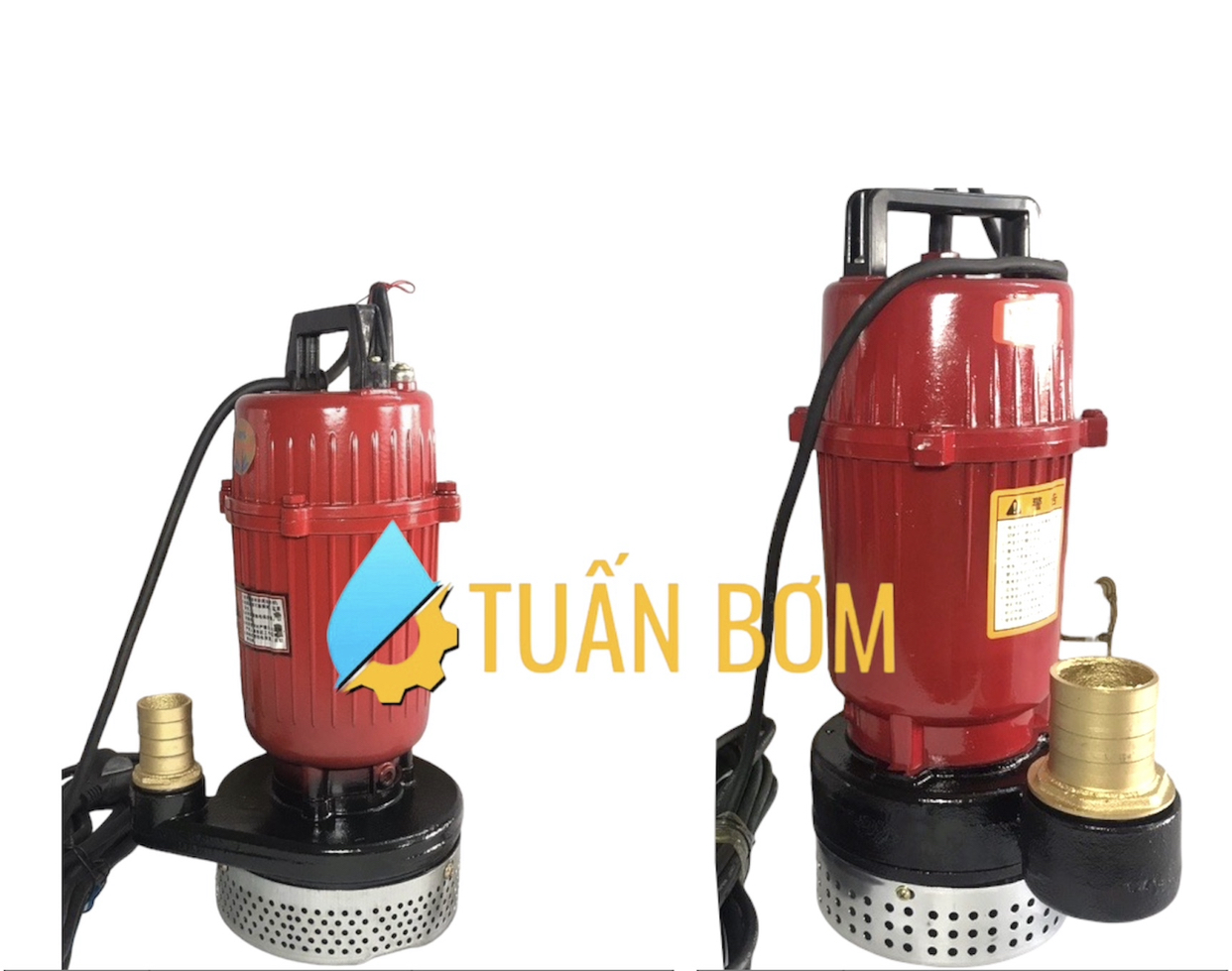 MÁY BƠM TÕM HAITUN WQD5-15-0.75 (750W)